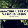Amazing uses of various herbs zero side effects