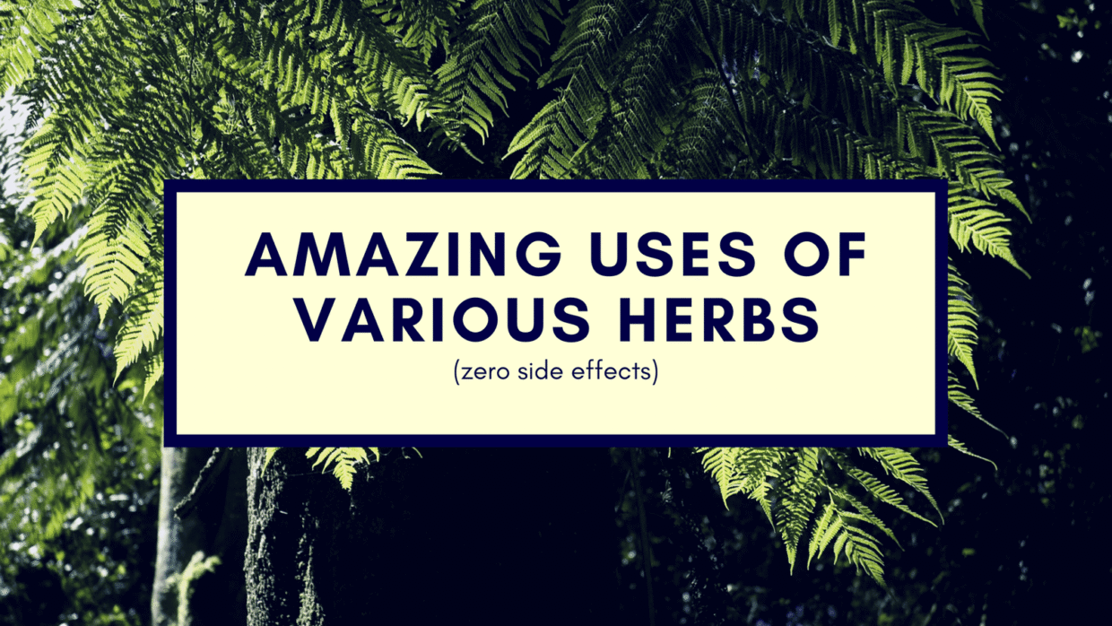 Amazing uses of various herbs zero side effects