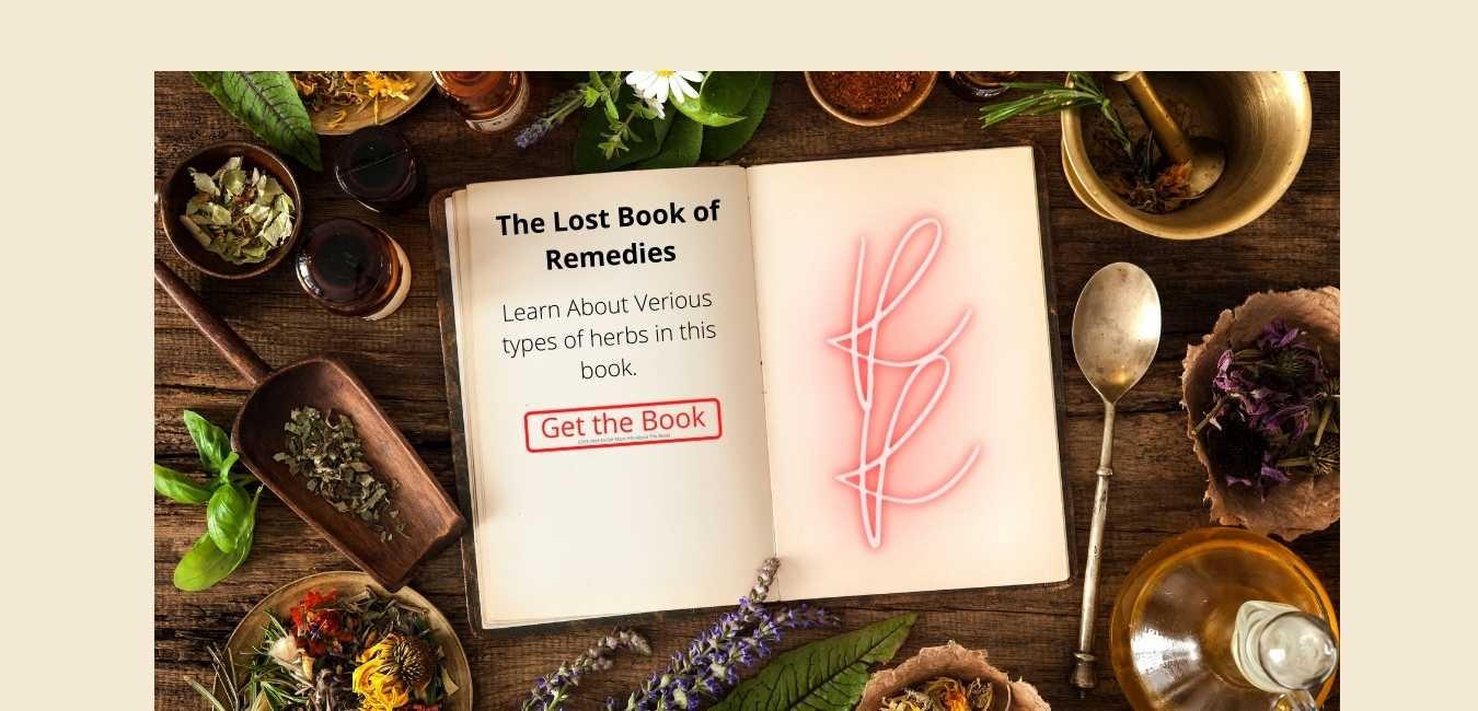 Amazing Uses of Herbs