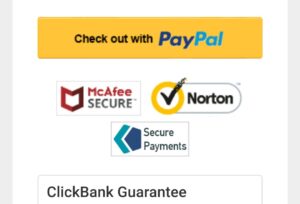 Softwares which guard the payment process